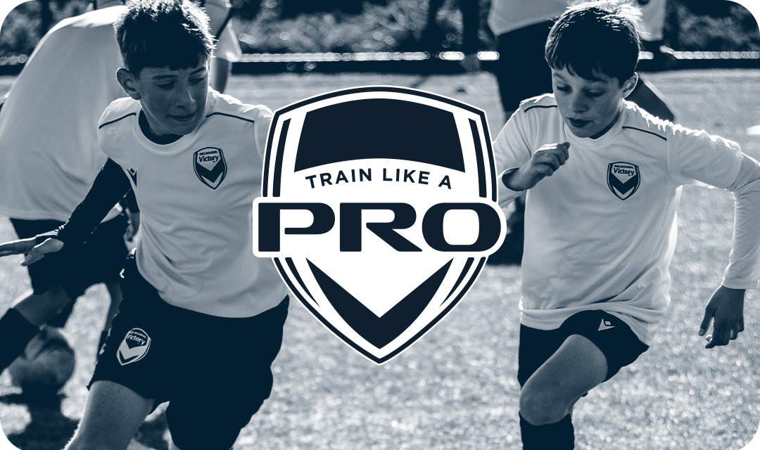 Train Like A Pro