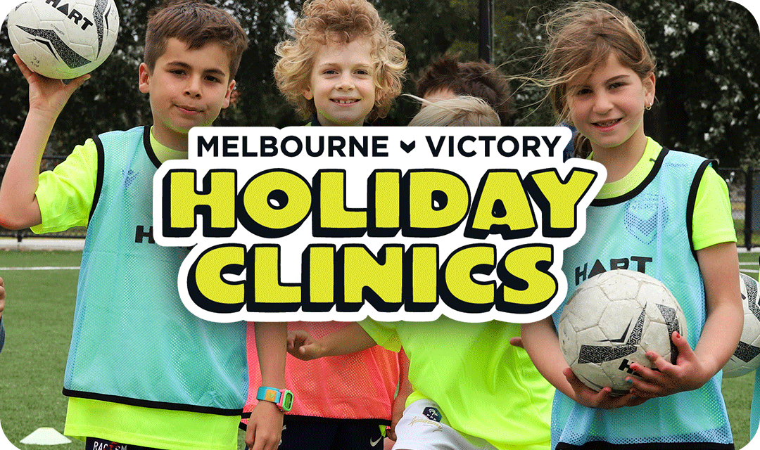 Holiday Clinics