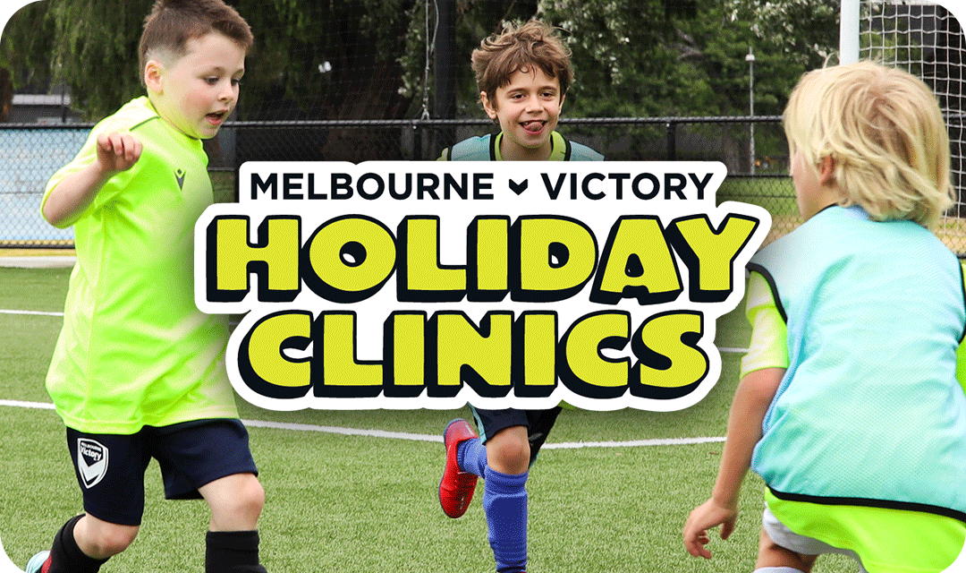 Holiday Clinics